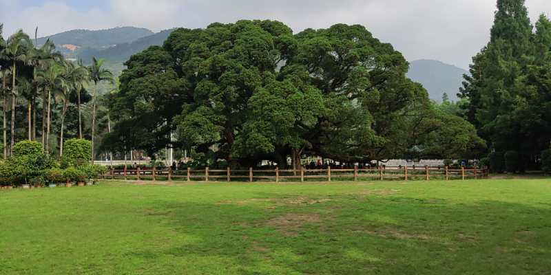 福州华光天锐全体员工于福州国家森林公园开展团建活动